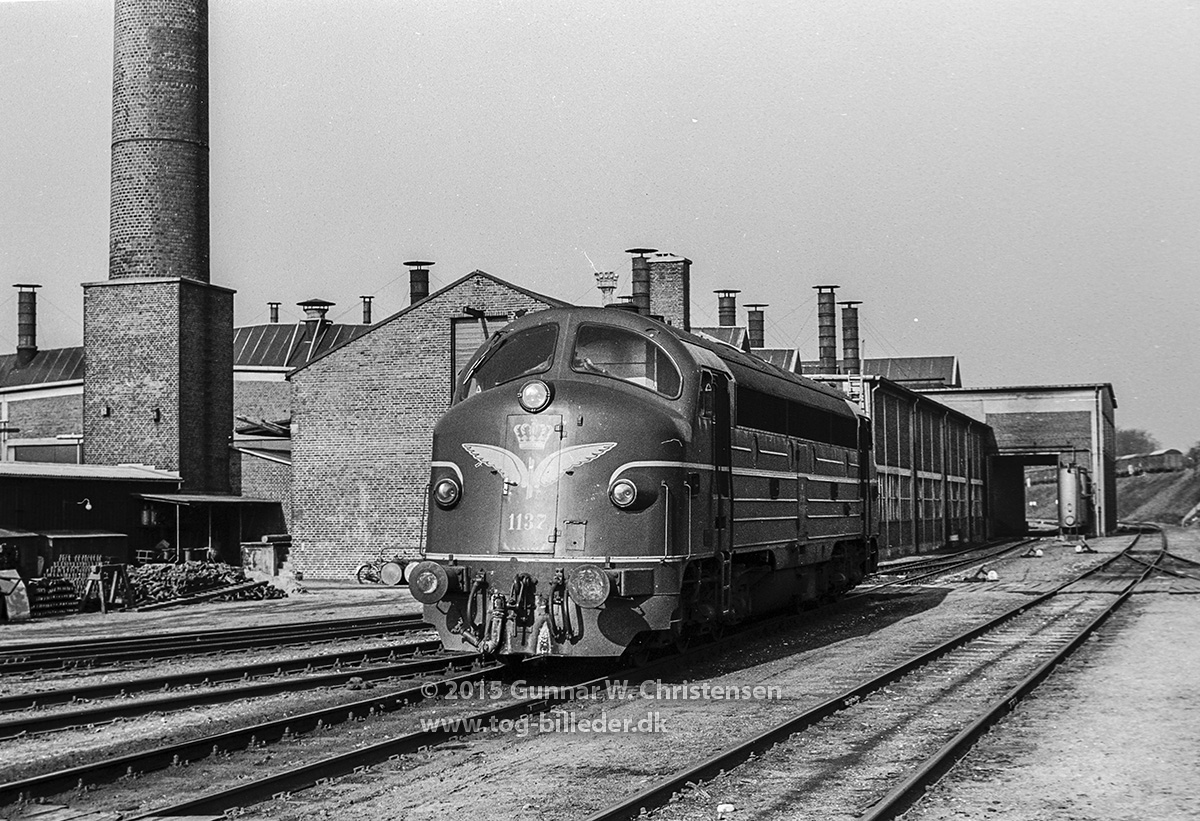 DSB Diesellokomotiver Litra MY 1137 togbilleder.dk